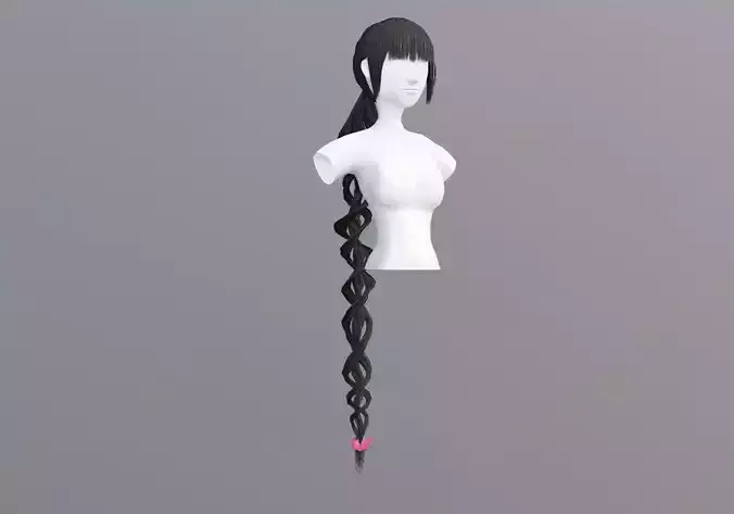 Long Ponytail Hairstyle 