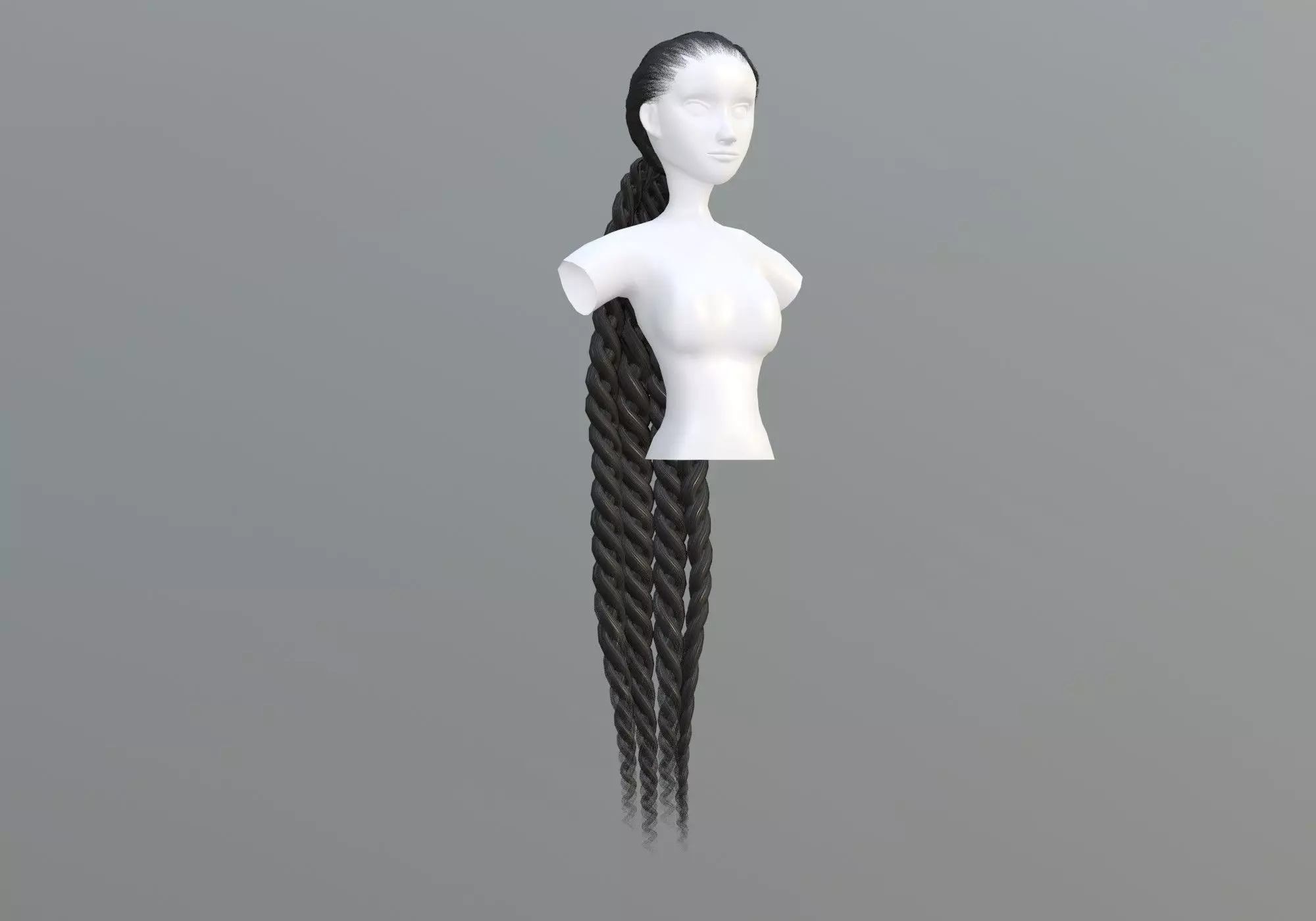 Long Pigtail Hairstyle 3D model_0