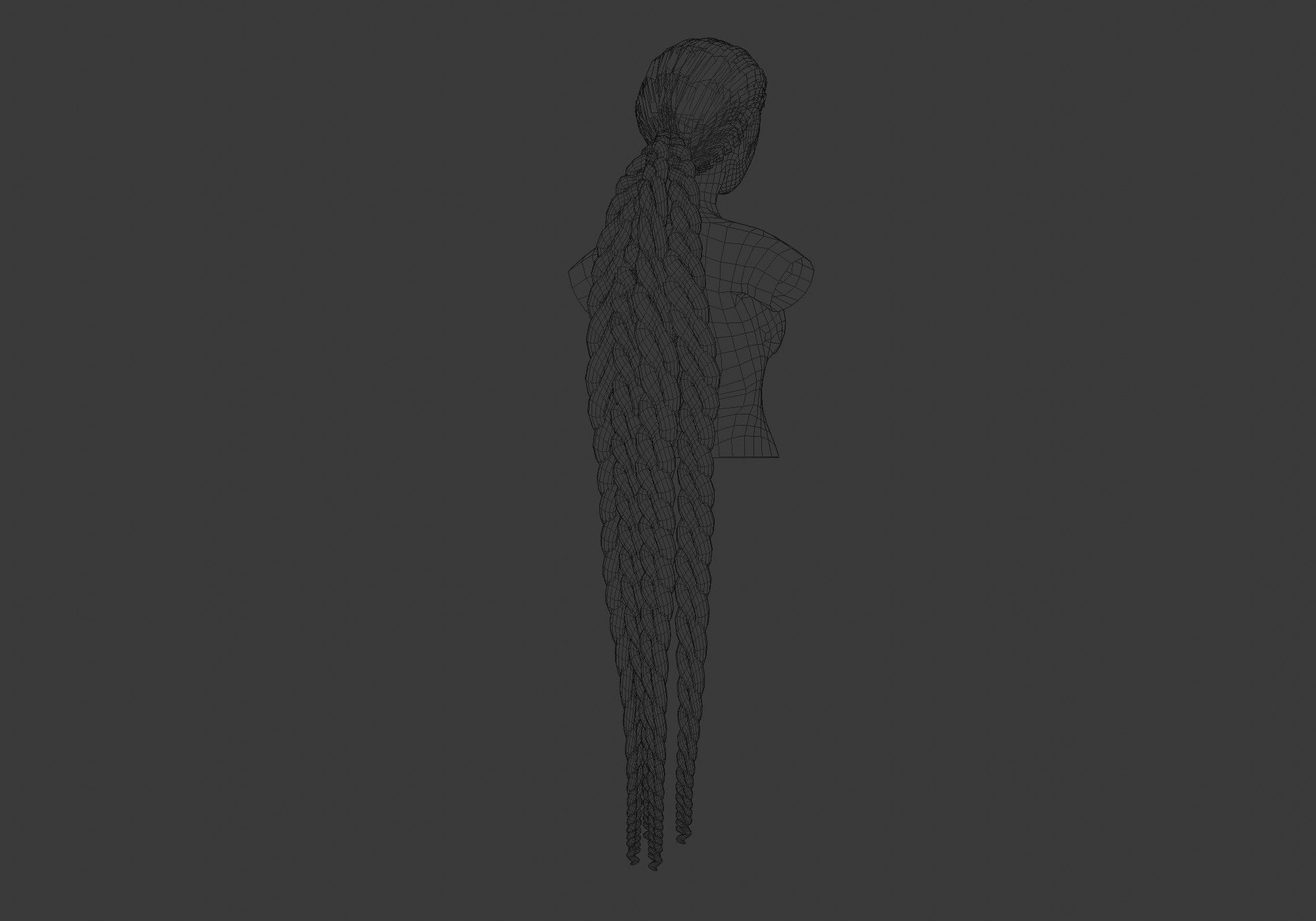 Long Pigtail Hairstyle 3D model_6