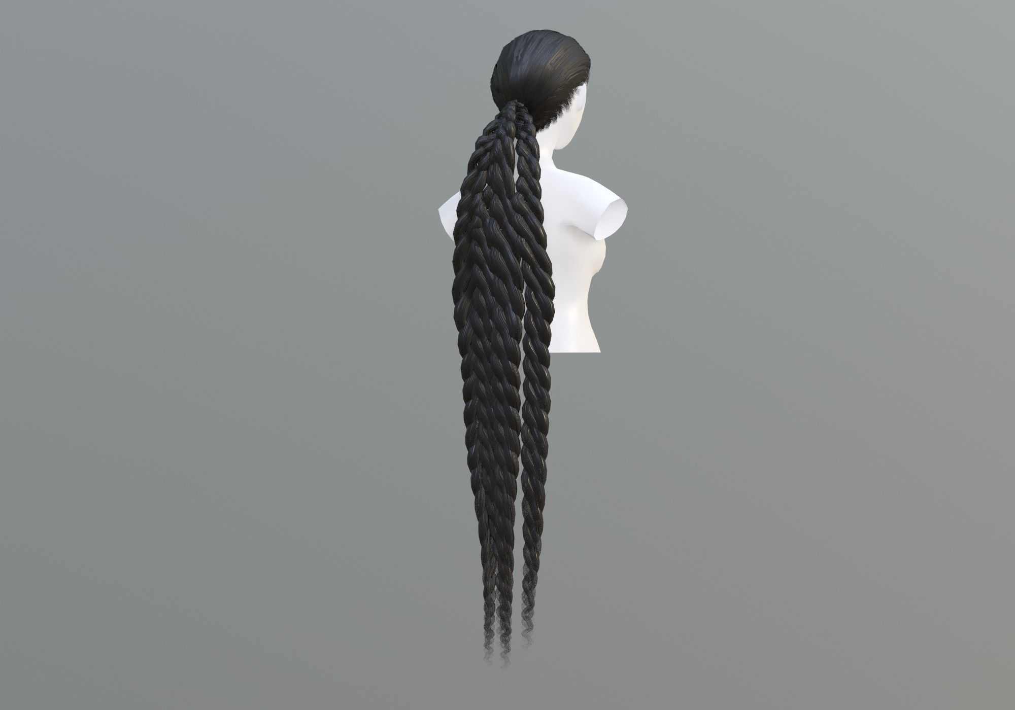 Long Pigtail Hairstyle 3D model_1