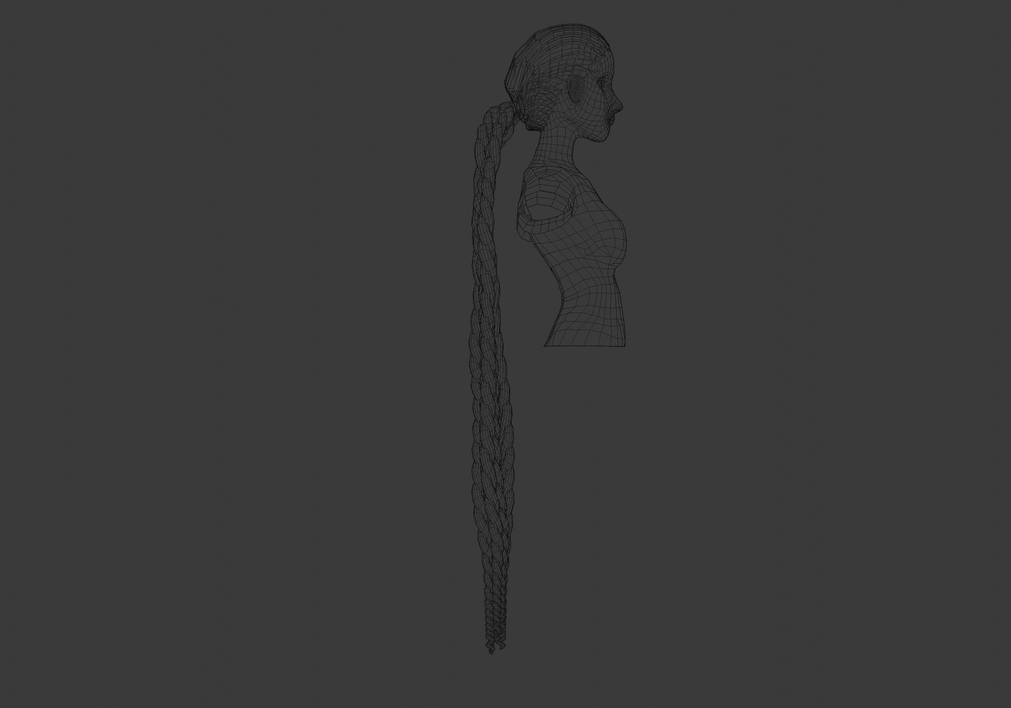 Long Pigtail Hairstyle 3D model_8