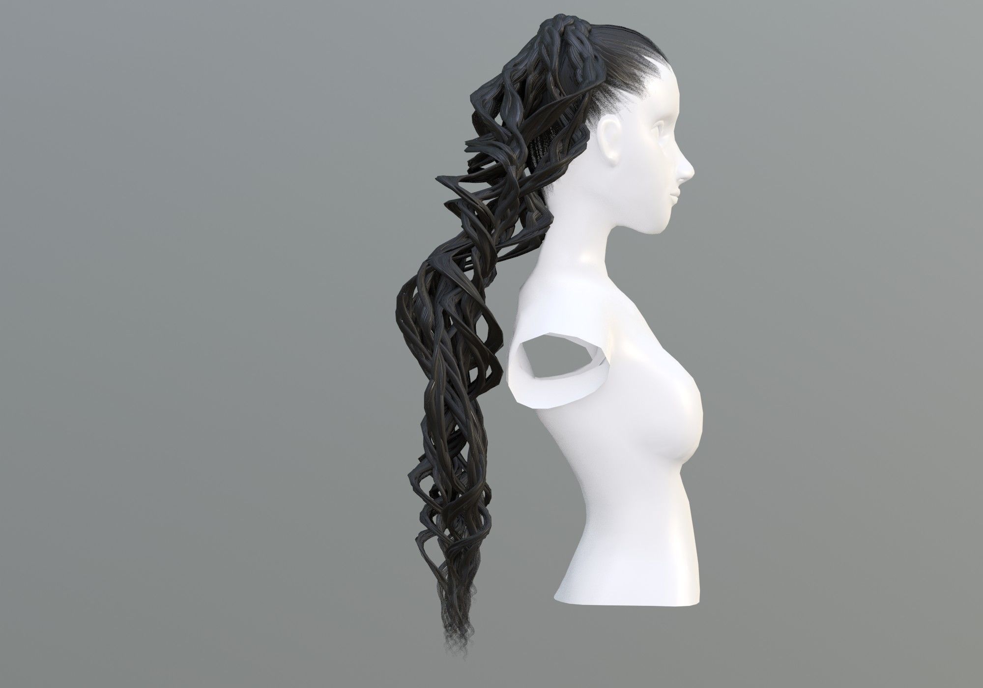 Long Female Hairstyle 3D model_2
