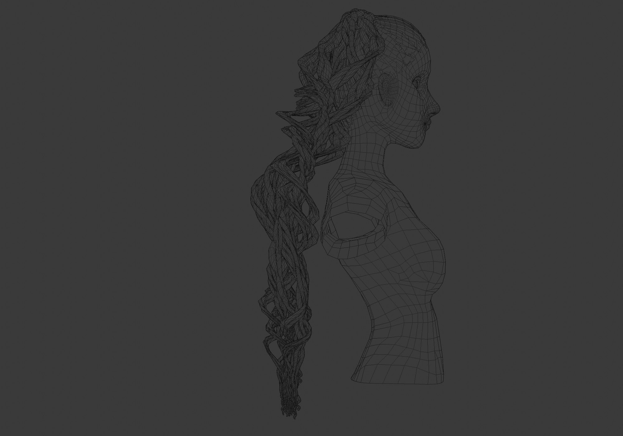 Long Female Hairstyle 3D model_7