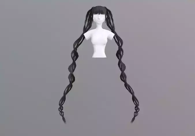 Long Fancy Hairstyle 