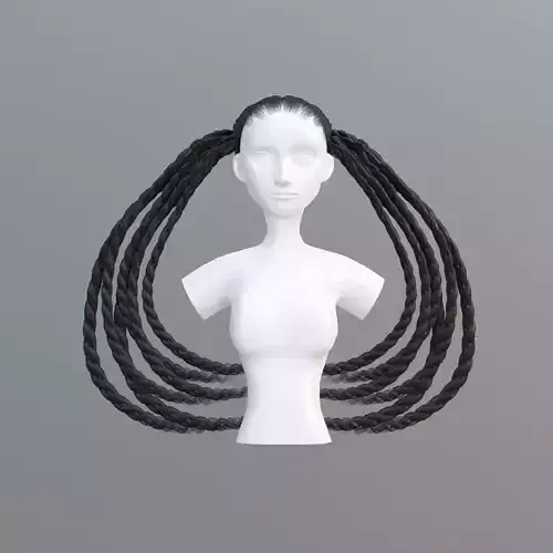 Long Braids Hairstyle 