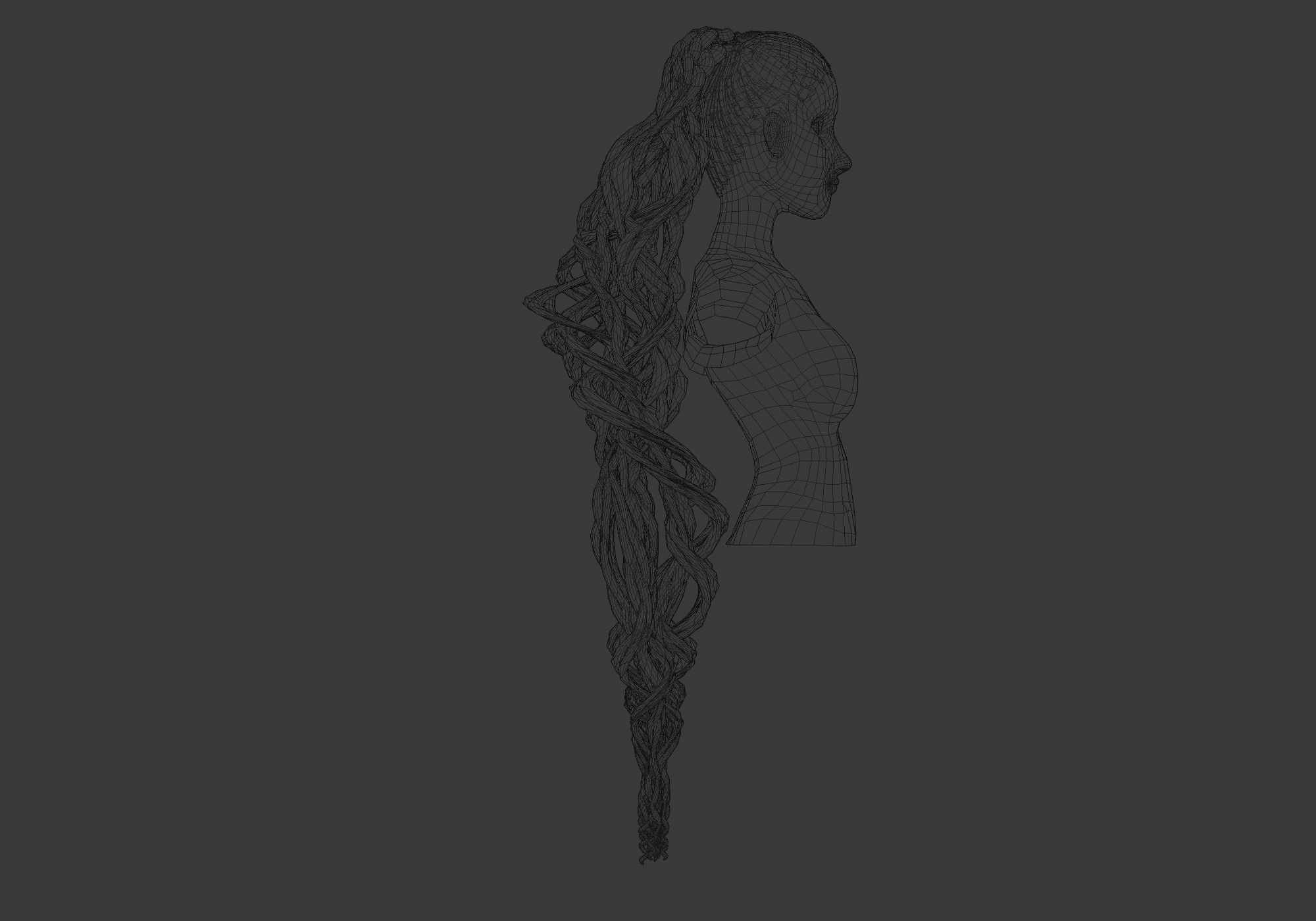 Female Wavy Hairstyle 3D model_7