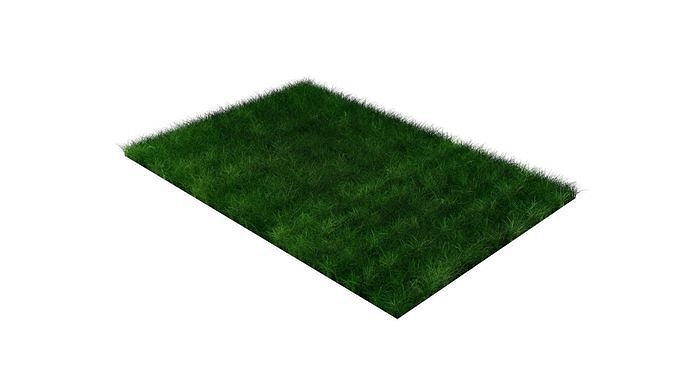 Grasses 3D model