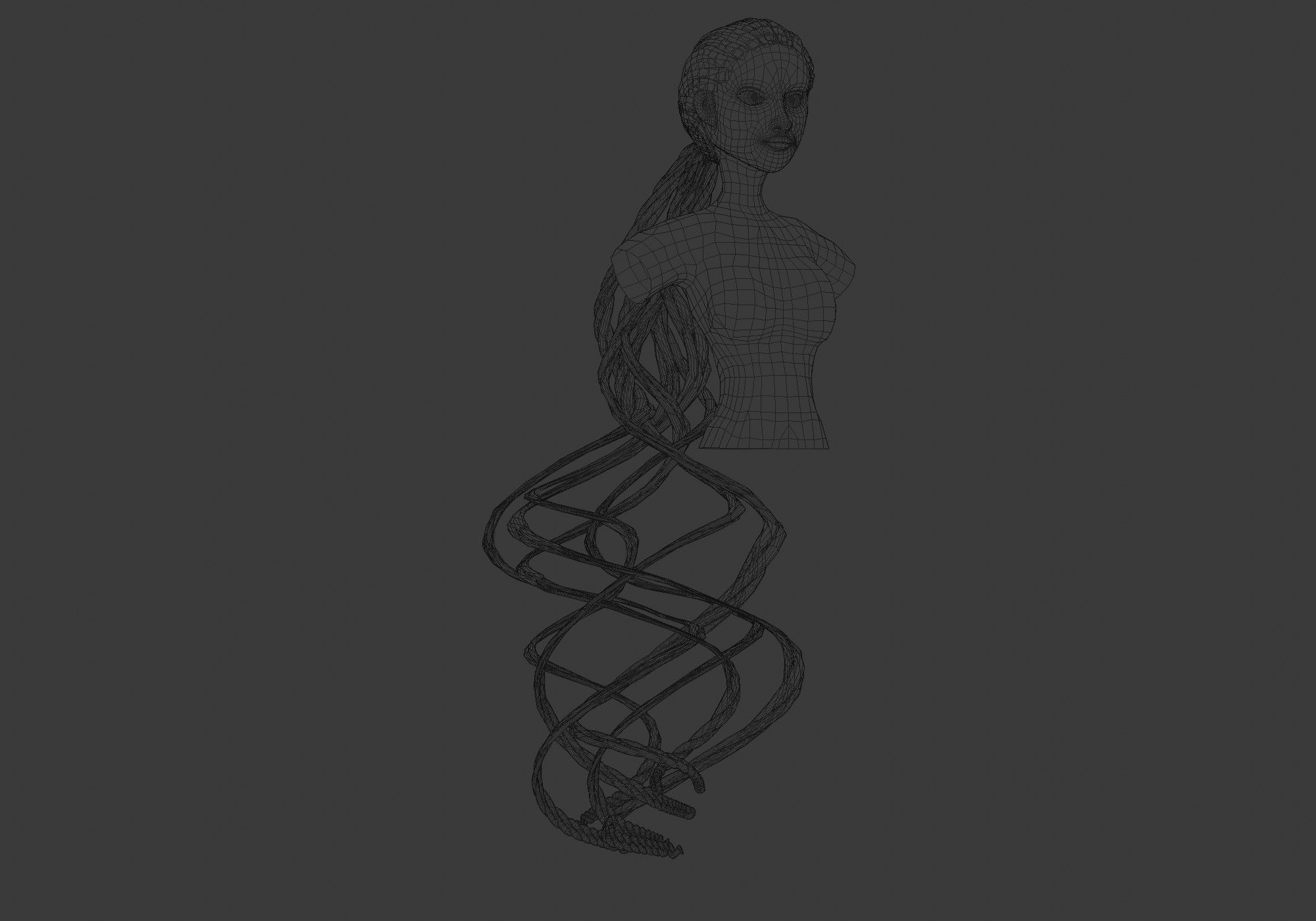 Female Ponytail Hair 3D model_5