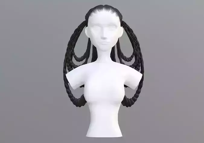Female Braids Hair 