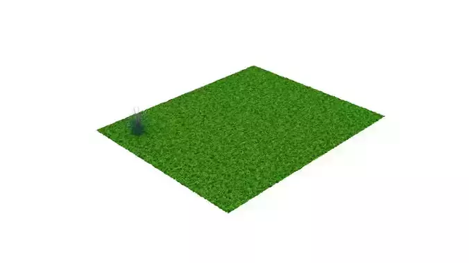Grass and Flower 3D model