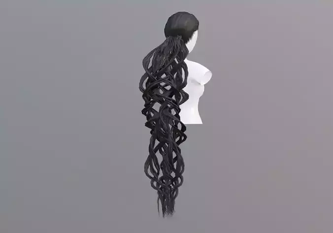 Curly Braids Hairstyle 