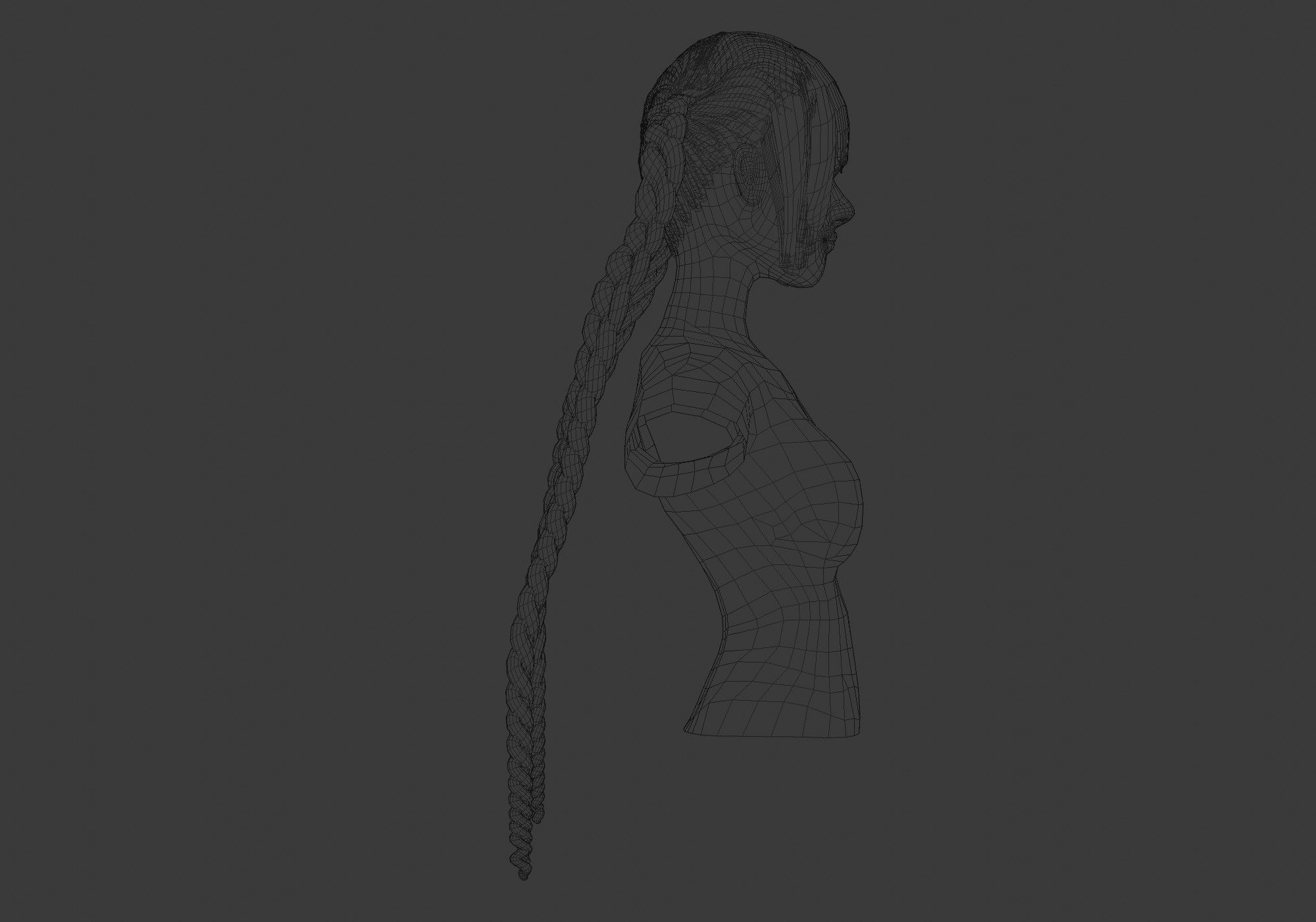 Braids Two Hairstyle 3D model_7