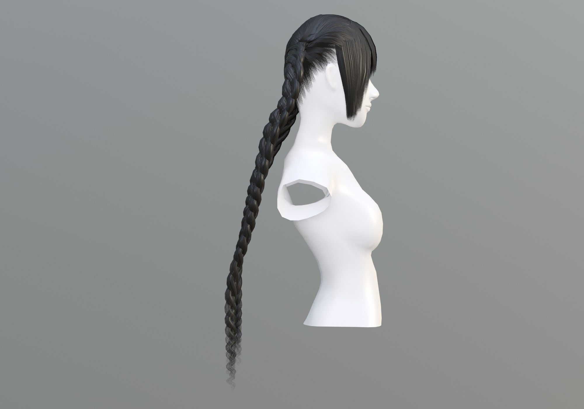 Braids Two Hairstyle 3D model_2