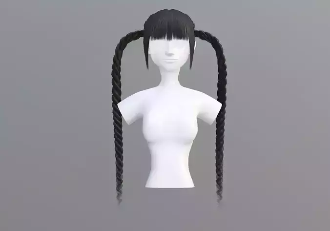 Braids Two Hairstyle 
