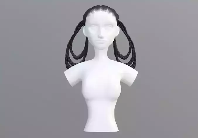 Braids Stylized Hair 