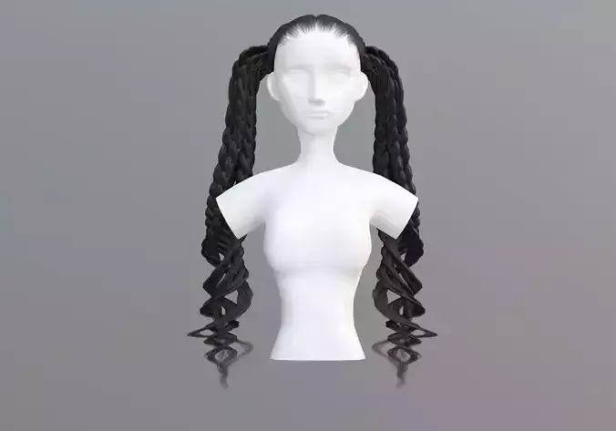 Braids Ponytails Hair 