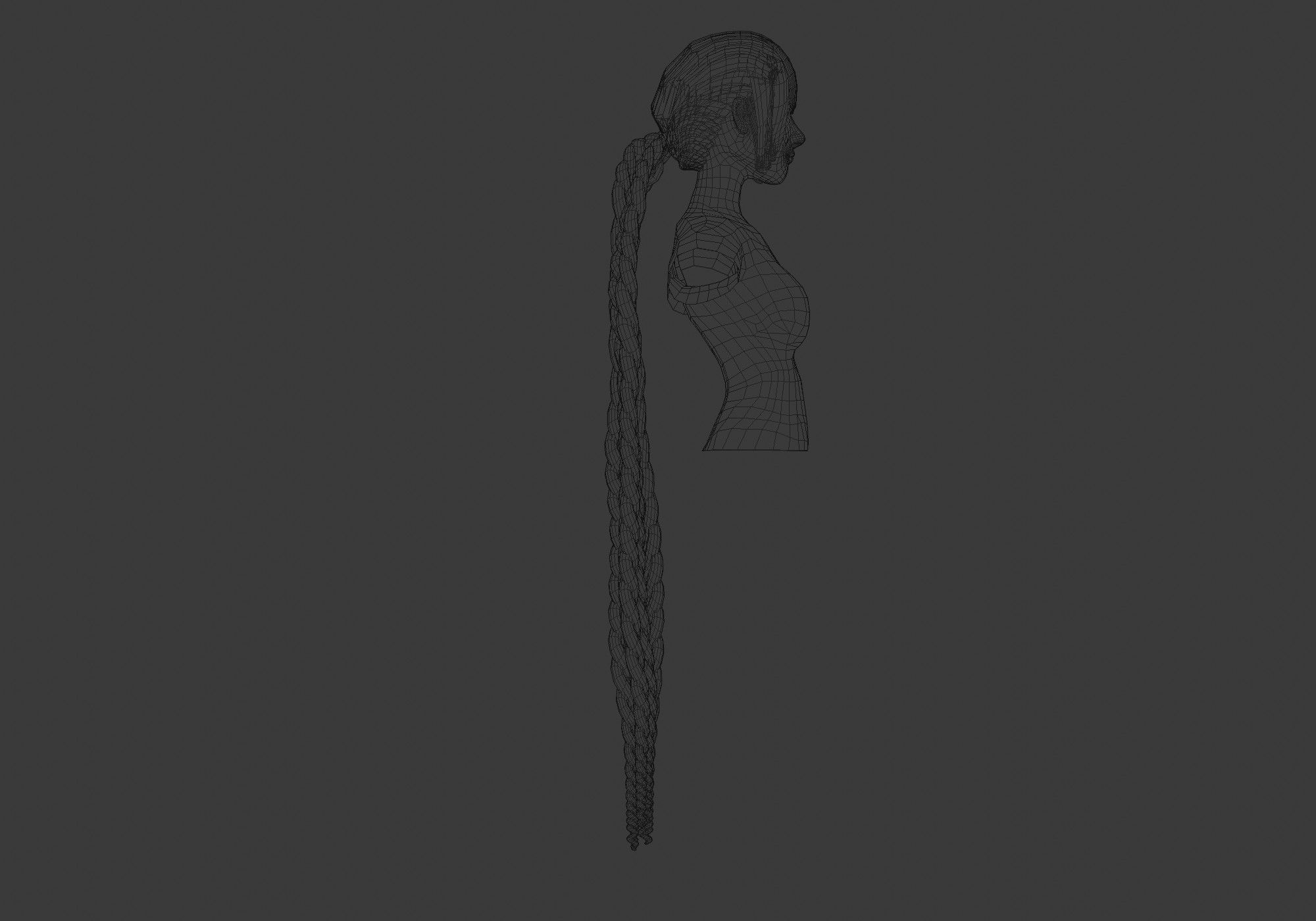 Braids Pigtail Hairstyle 3D model_8