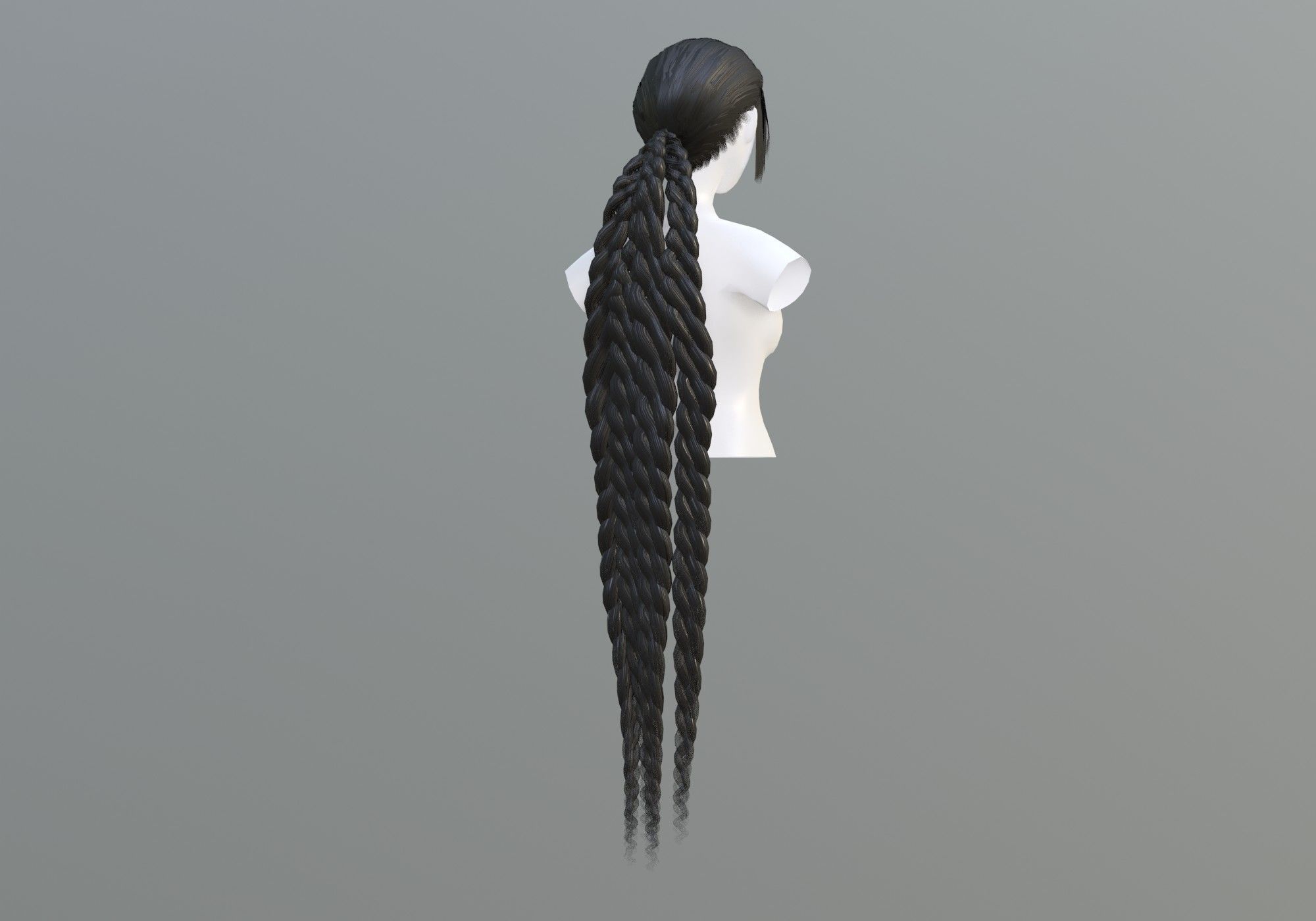 Braids Pigtail Hairstyle 3D model_1