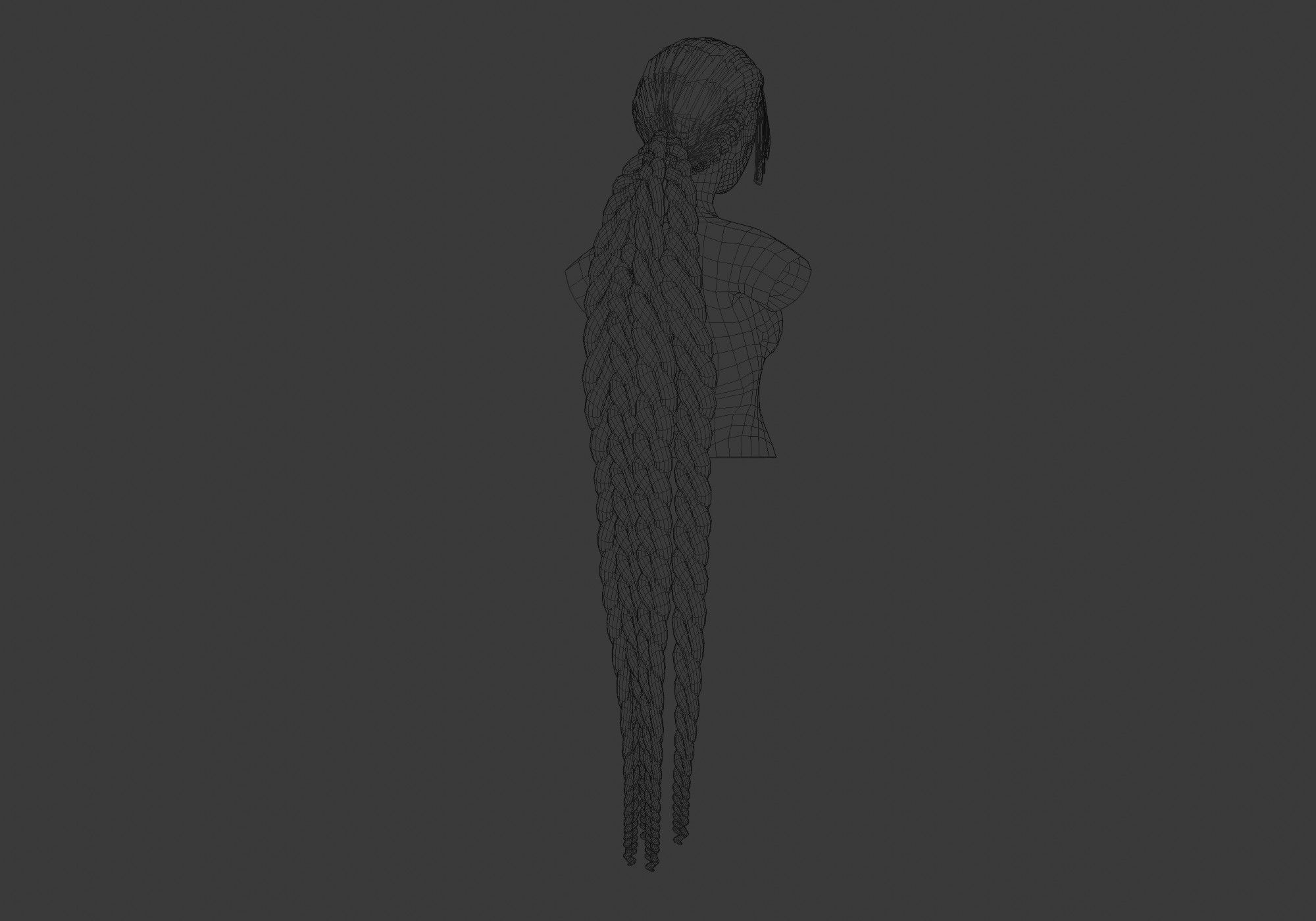 Braids Pigtail Hairstyle 3D model_6