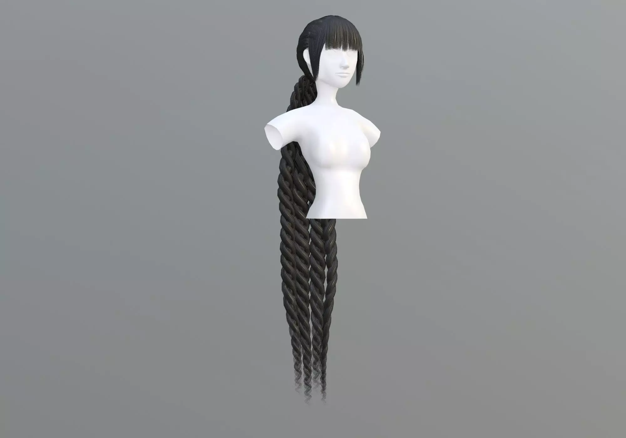 Braids Pigtail Hairstyle 3D model_0