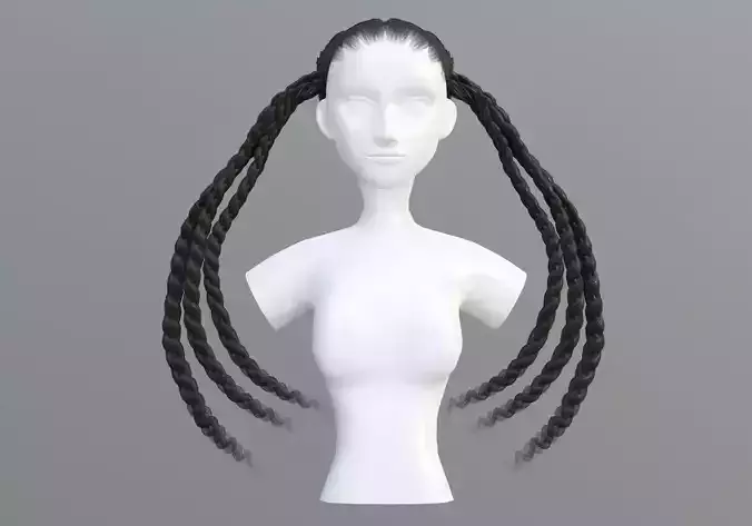Braids Long Hairstyle 