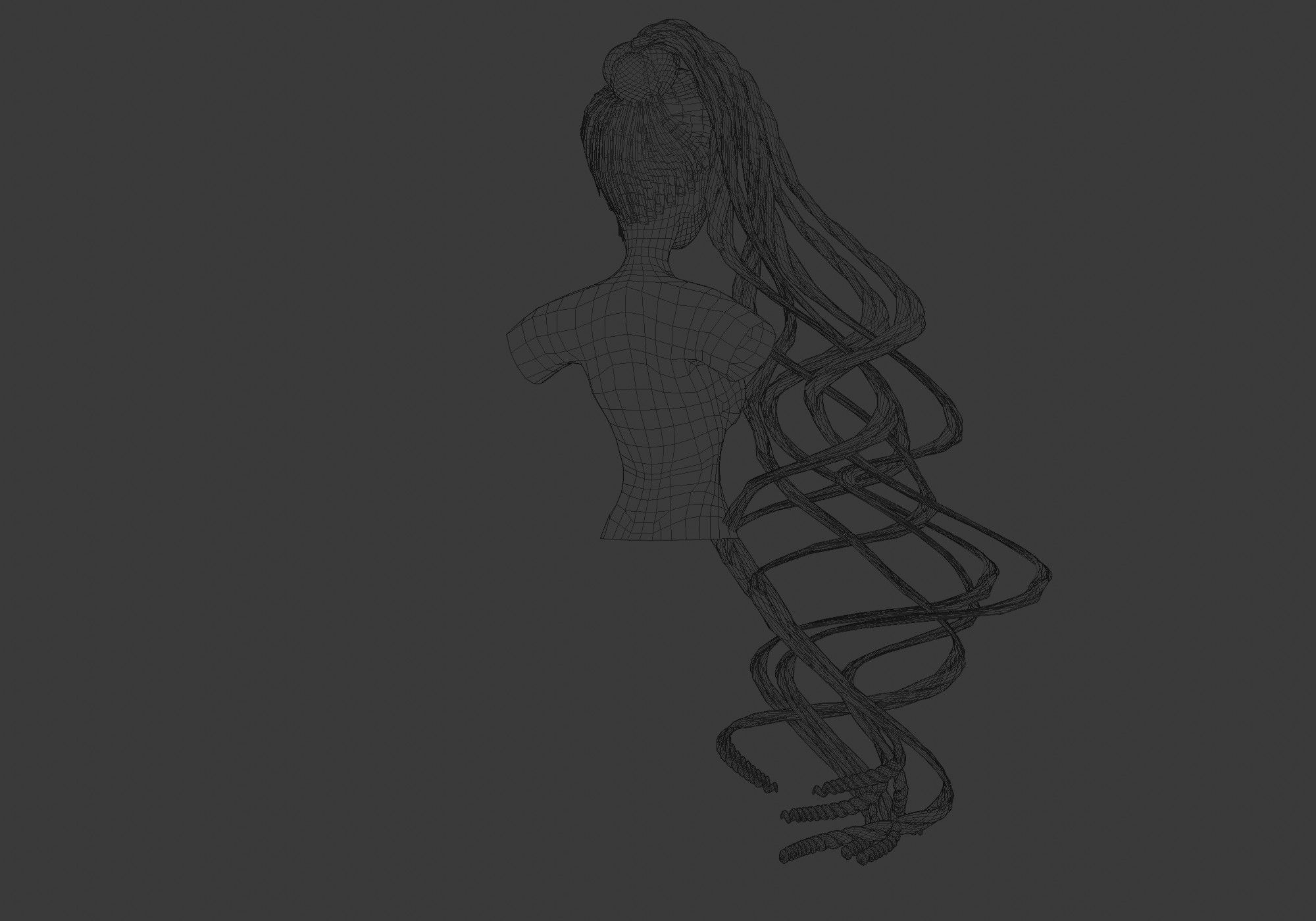 Braids Female Hair 3D model_8