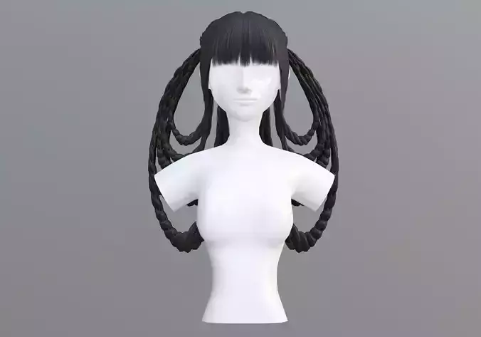 Braids Black Hair 