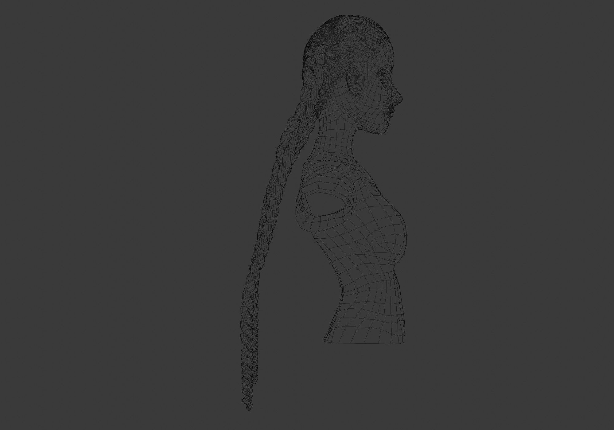 Black Braids Hairstyle 3D model_7
