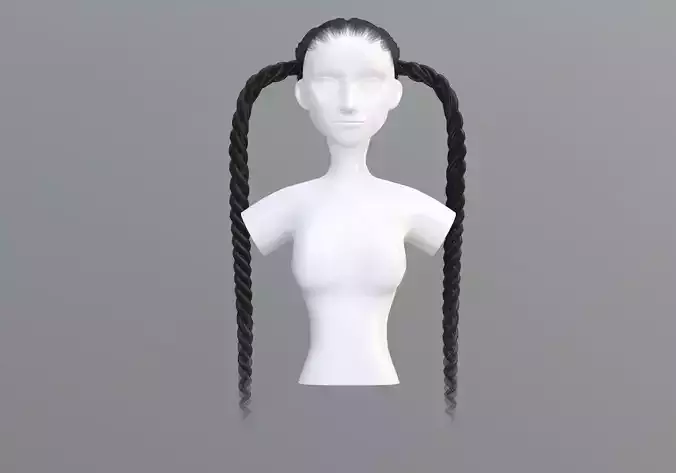 Black Braids Hairstyle  3D model