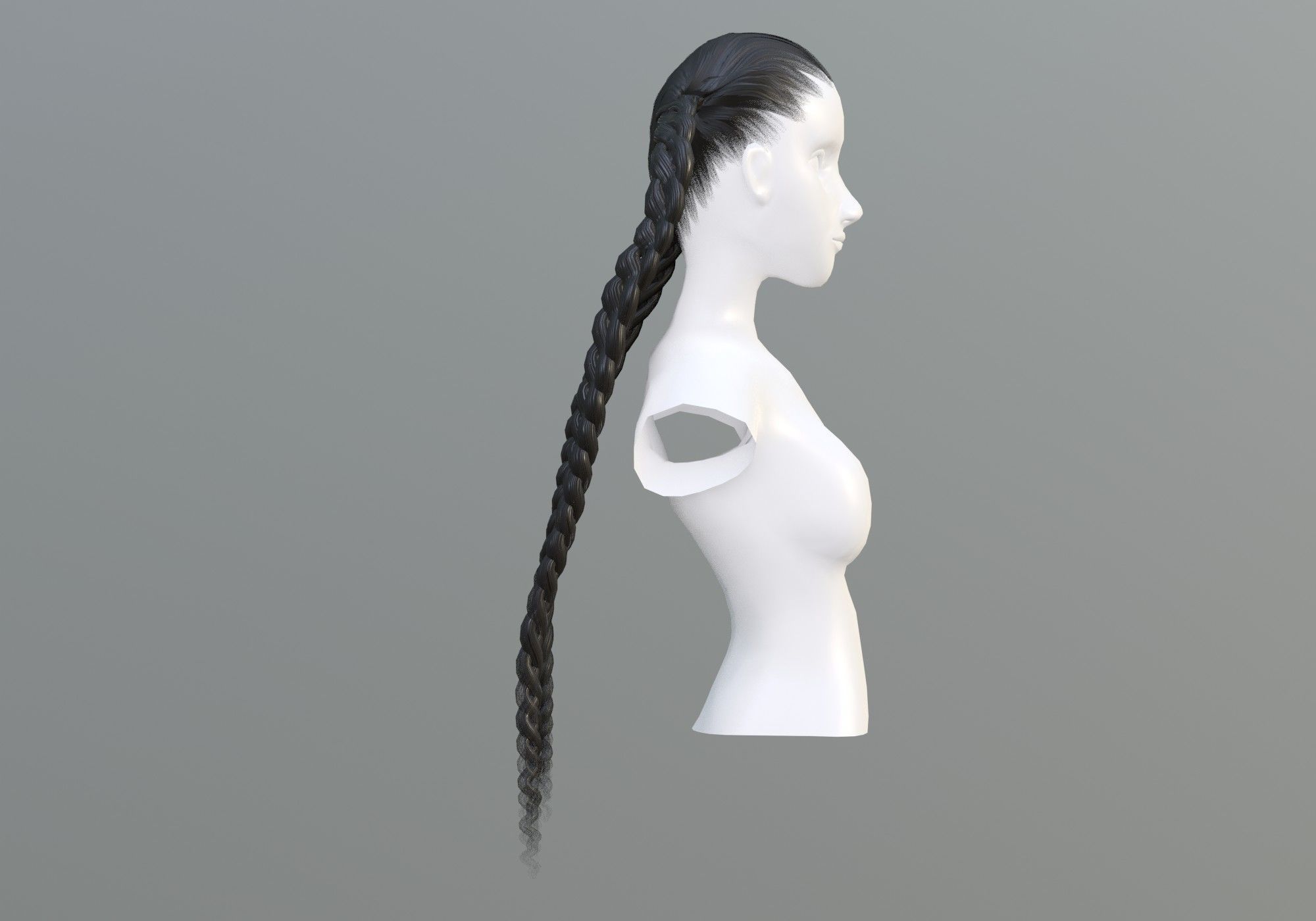 Black Braids Hairstyle 3D model_2