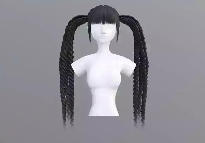 Bangs Ponytails Hairstyle 