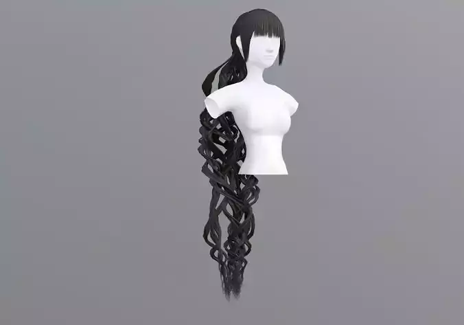 Bangs Ponytail Hairstyle 