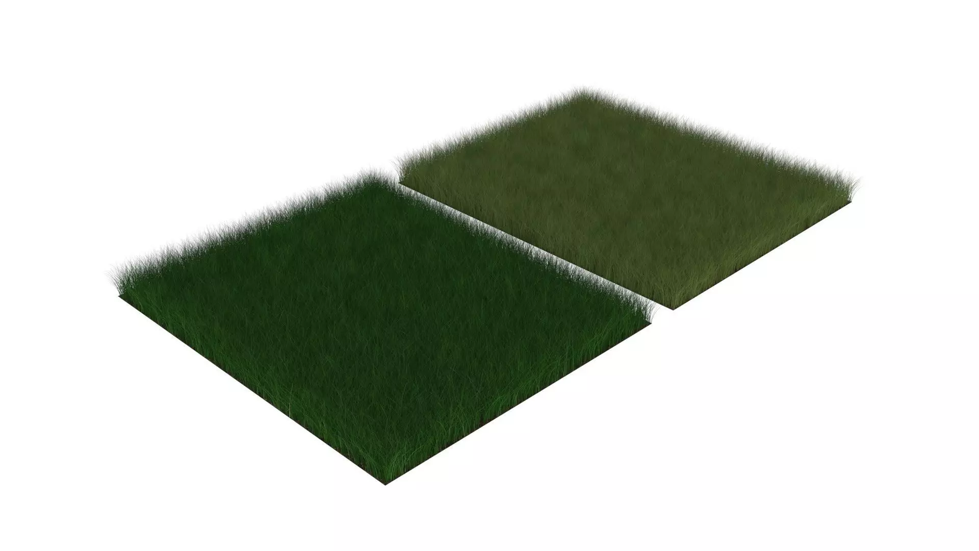 Grasses Set 3D model_0