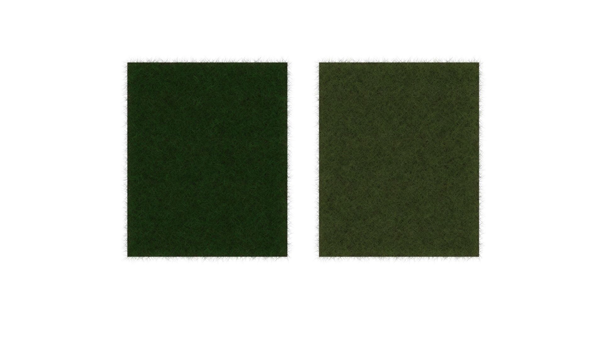 Grasses Set 3D model_16