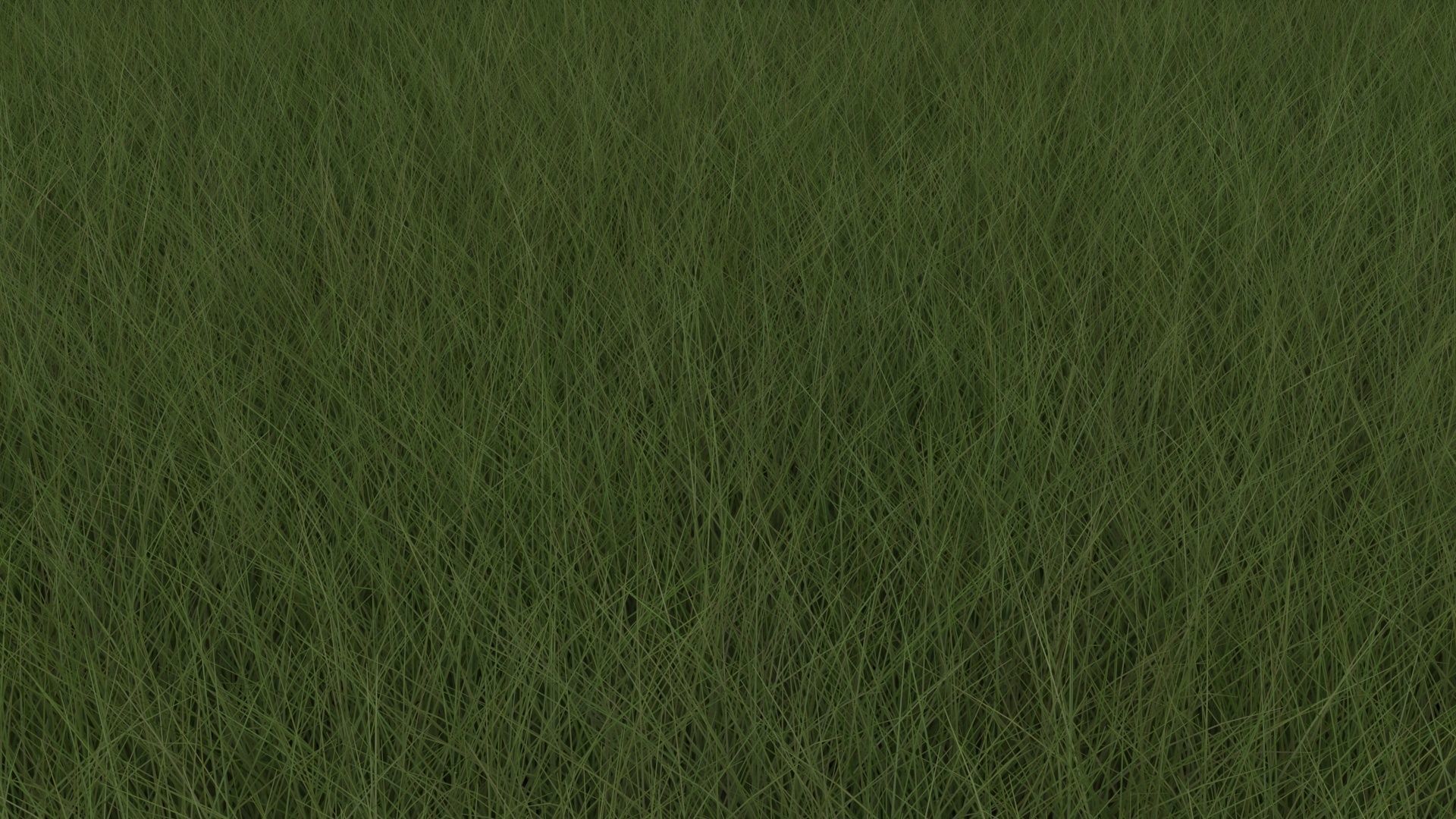 Grasses Set 3D model_6