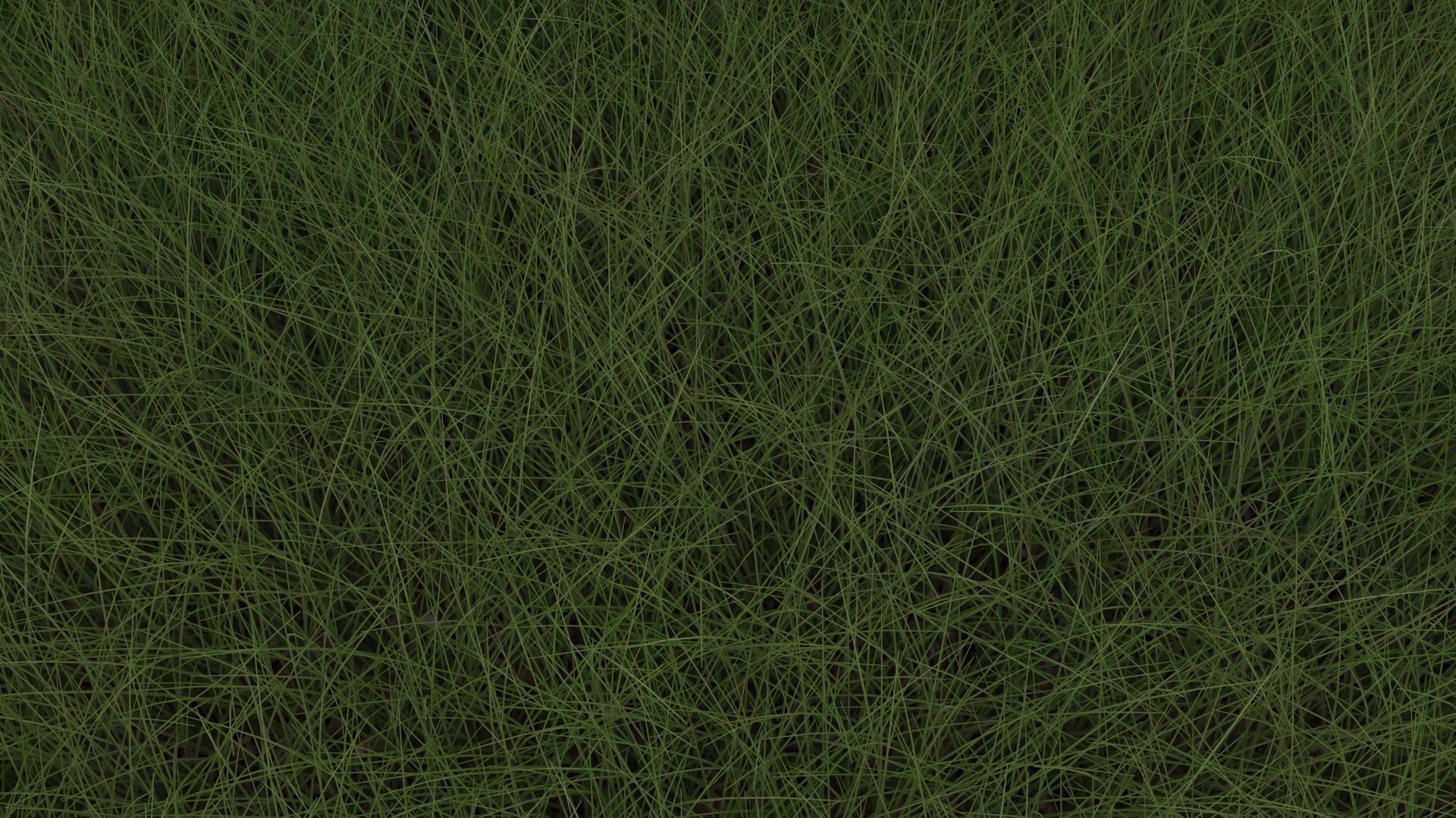 Grasses Set 3D model_12