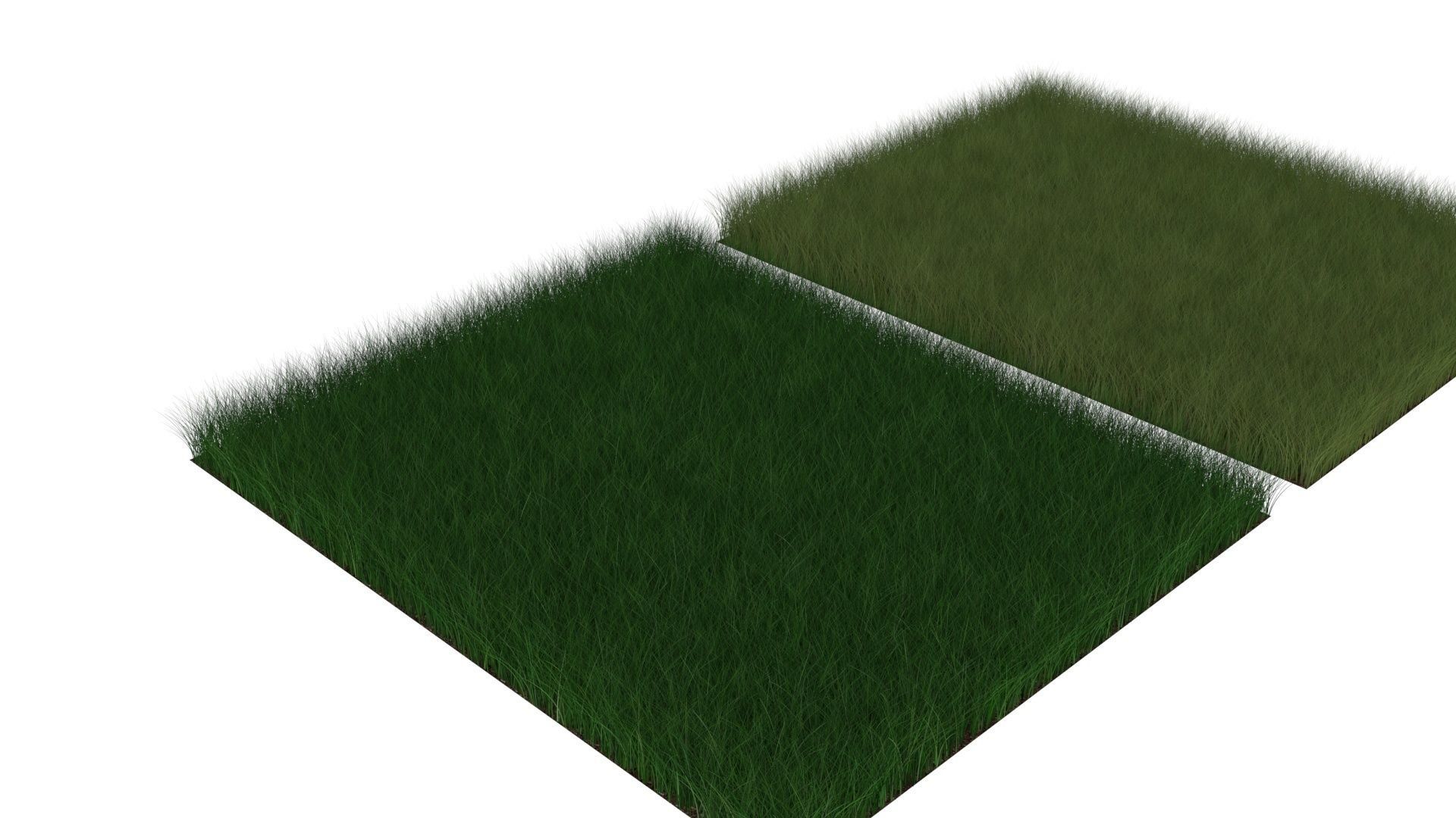 Grasses Set 3D model_11