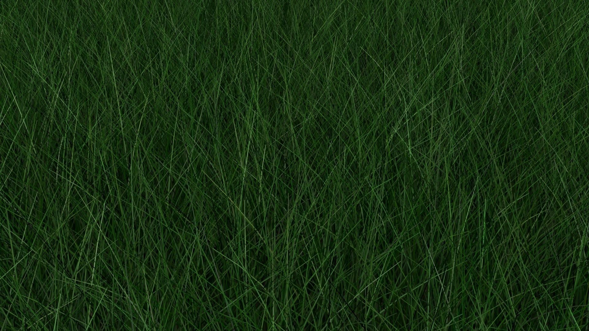 Grasses Set 3D model_4