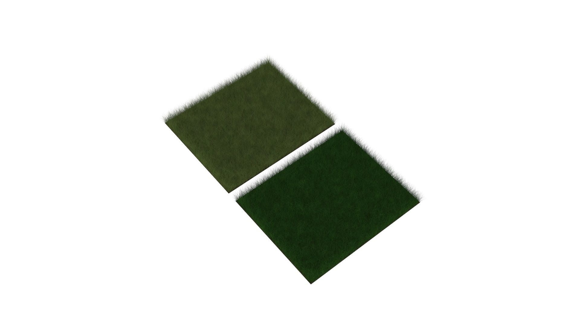 Grasses Set 3D model_3