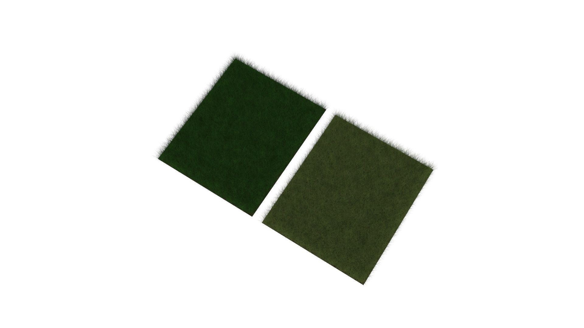 Grasses Set 3D model_1