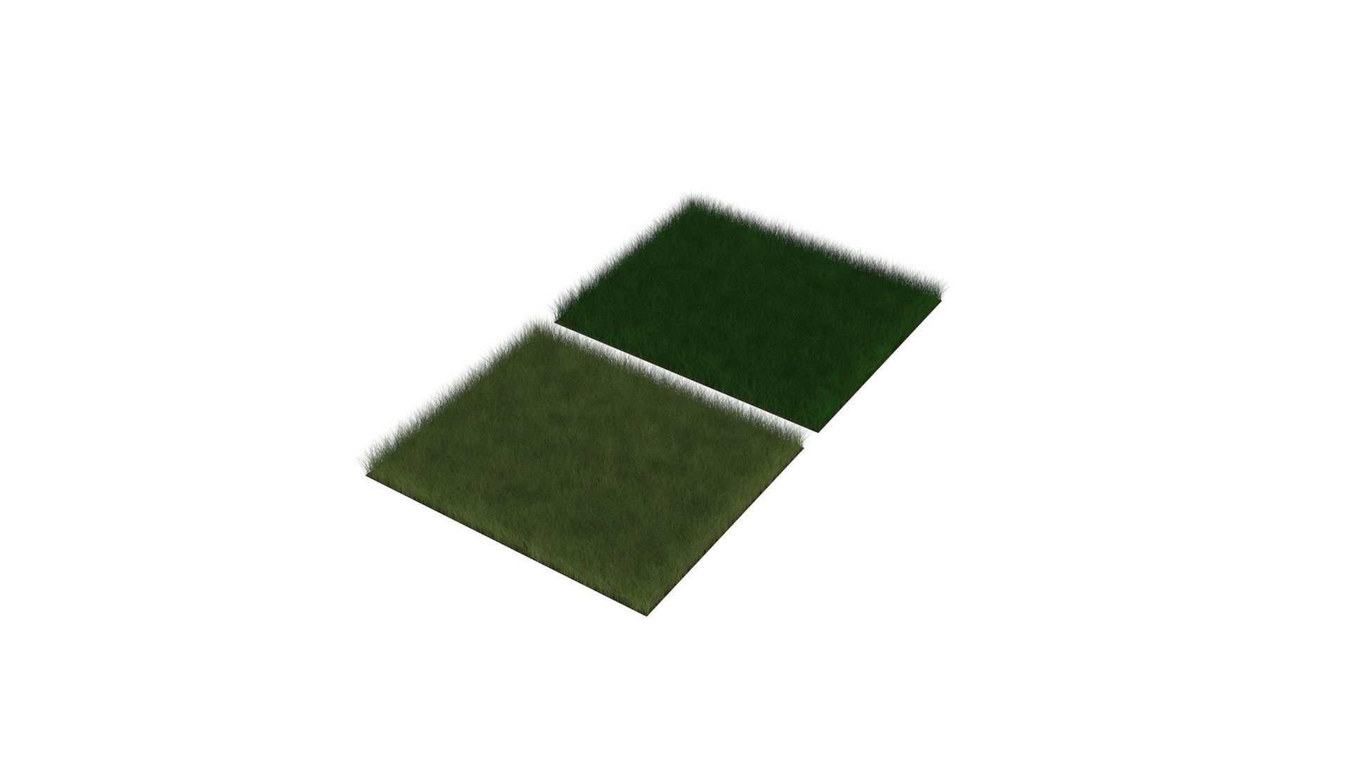 Grasses Set 3D model_2