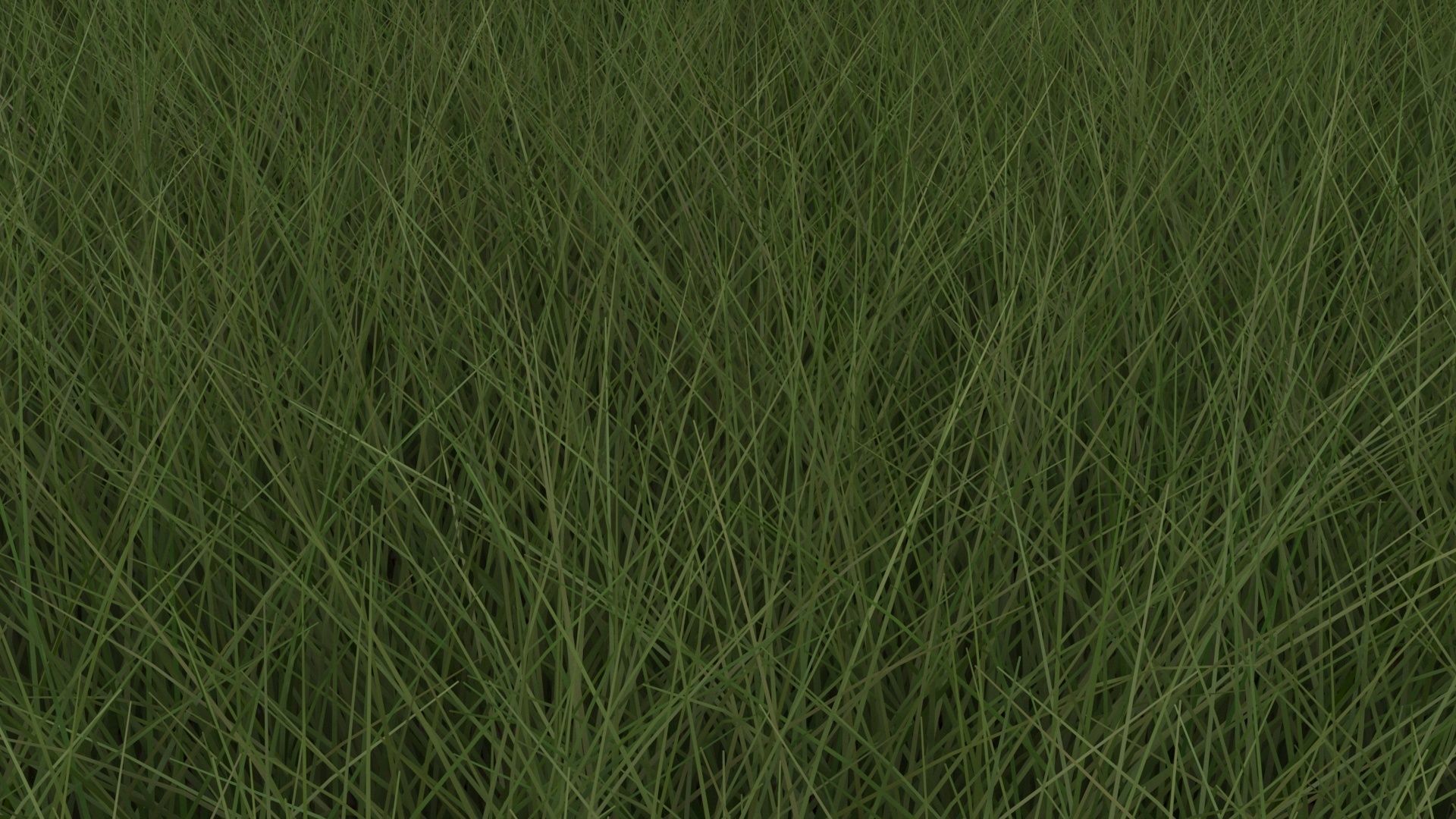 Grasses Set 3D model_9