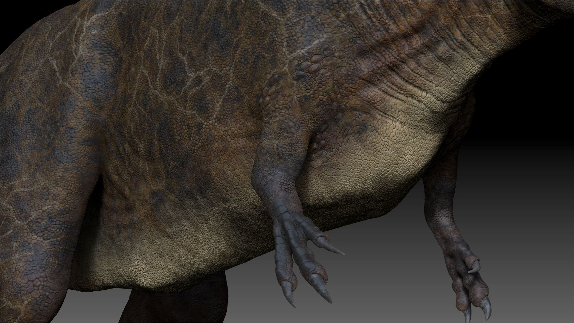 Dinosaur Giganotosaurus Sculpt Project 3D model_10