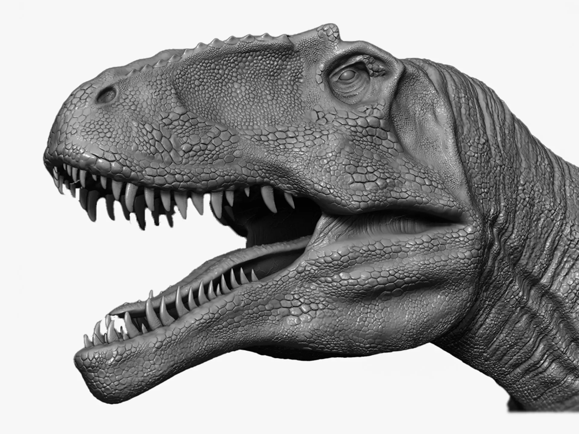 Dinosaur Giganotosaurus Sculpt Project 3D model_0