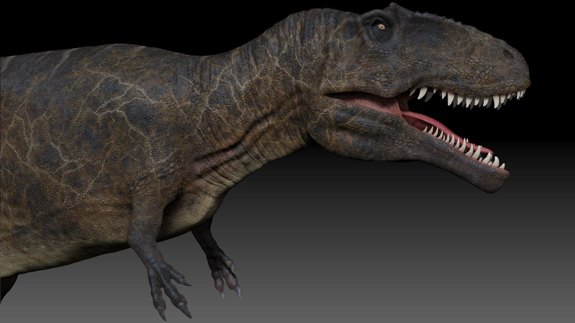 Dinosaur Giganotosaurus Sculpt Project 3D model_9