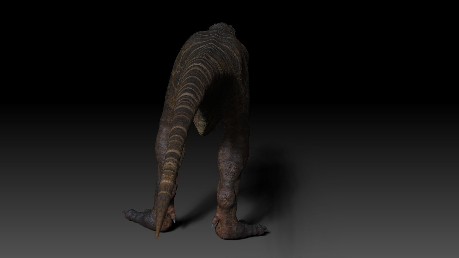 Dinosaur Giganotosaurus Sculpt Project 3D model_13