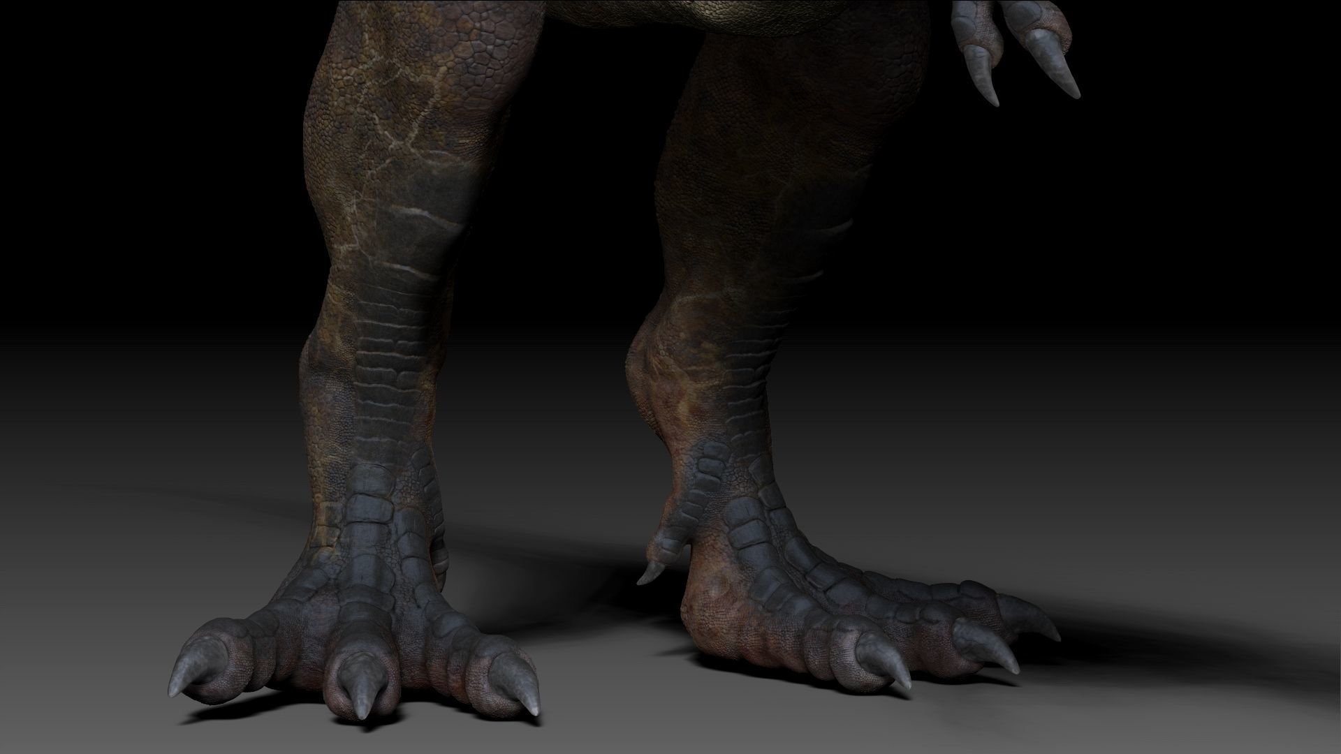 Dinosaur Giganotosaurus Sculpt Project 3D model_11