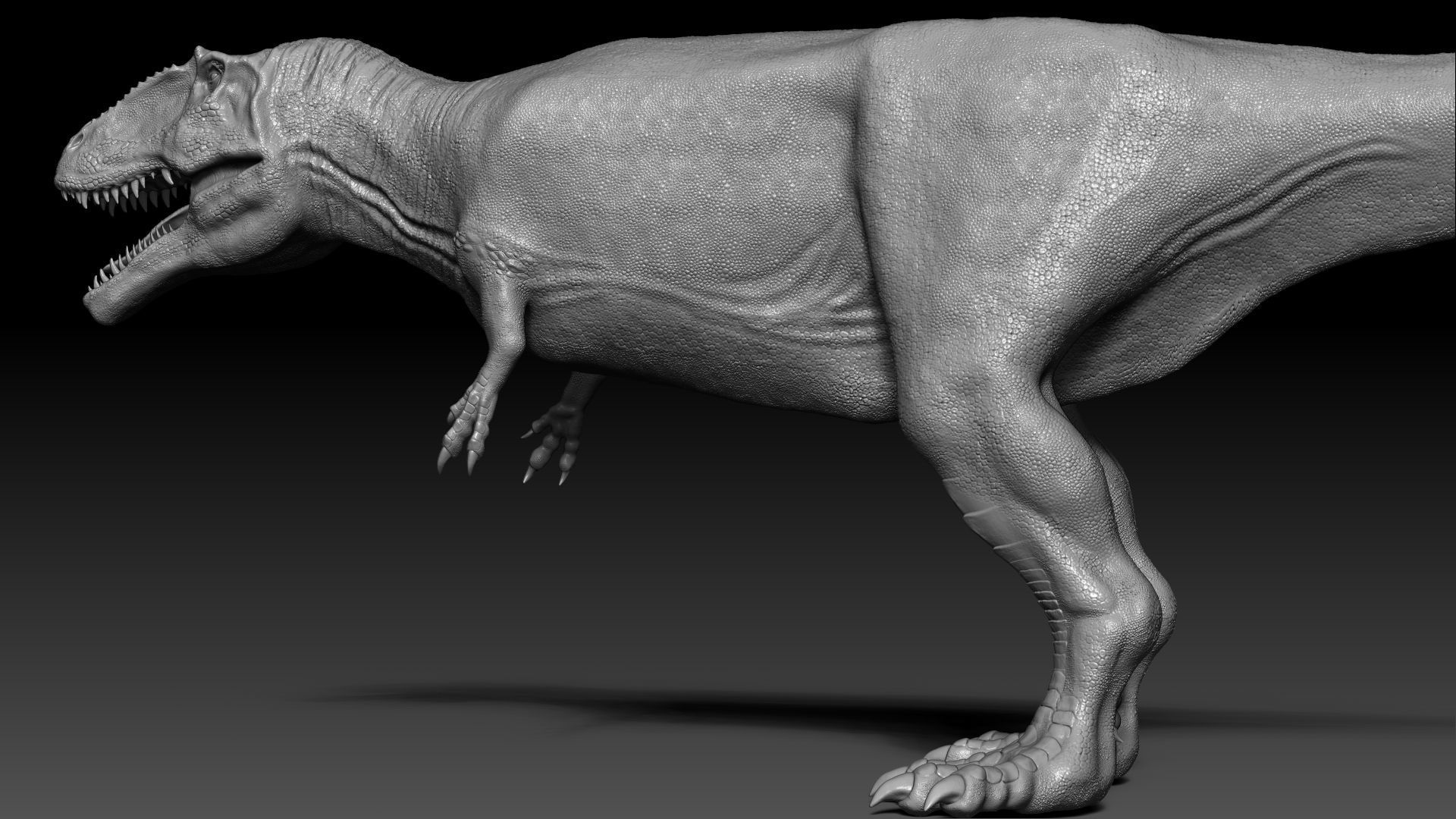 Dinosaur Giganotosaurus Sculpt Project 3D model_4