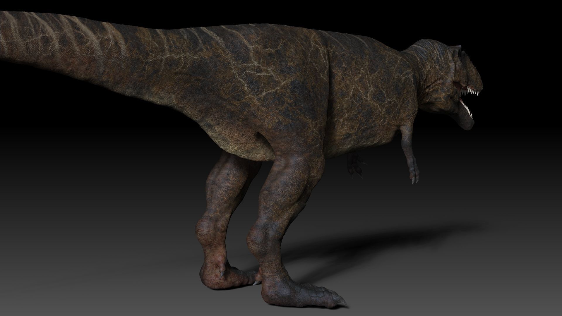 Dinosaur Giganotosaurus Sculpt Project 3D model_12
