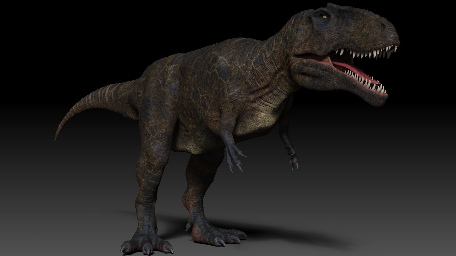 Dinosaur Giganotosaurus Sculpt Project 3D model_18